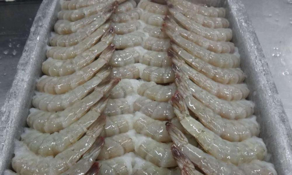 PRAWN (40-60)(1 Day Delivery)