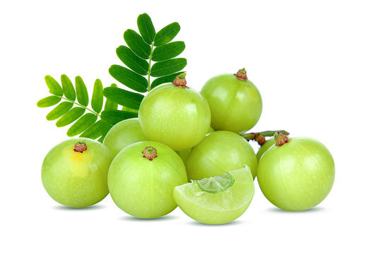 AMLA ( 1 HRS DELIVERY )