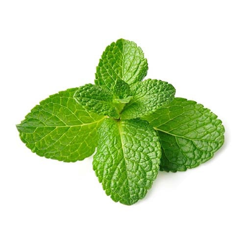 MINT LEAVES ( 1HRS DELIVERY )
