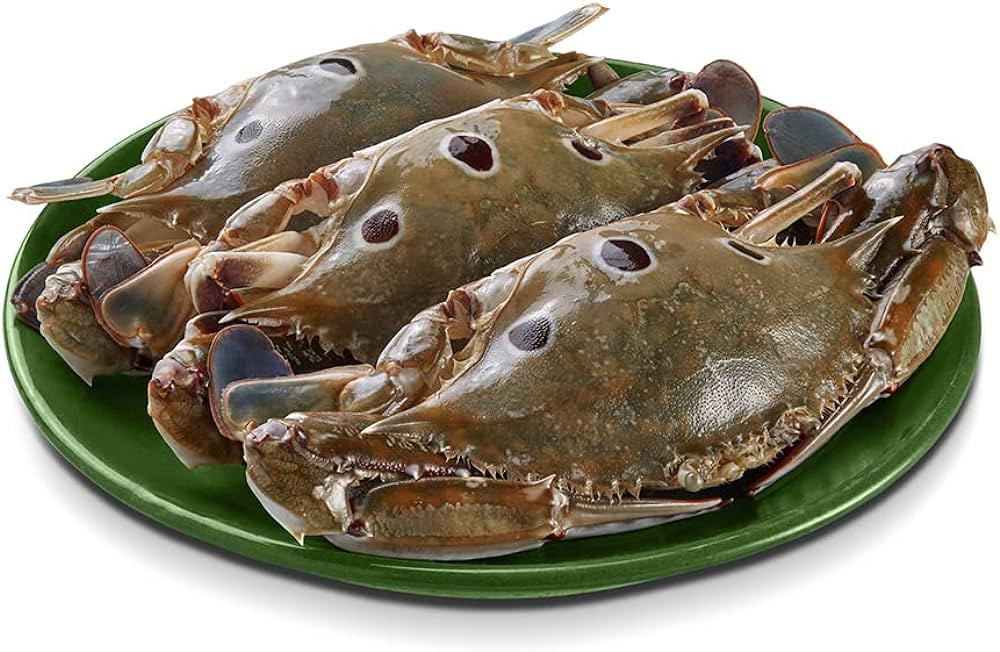 SEA CRAP (Nandu) 2hrs dly