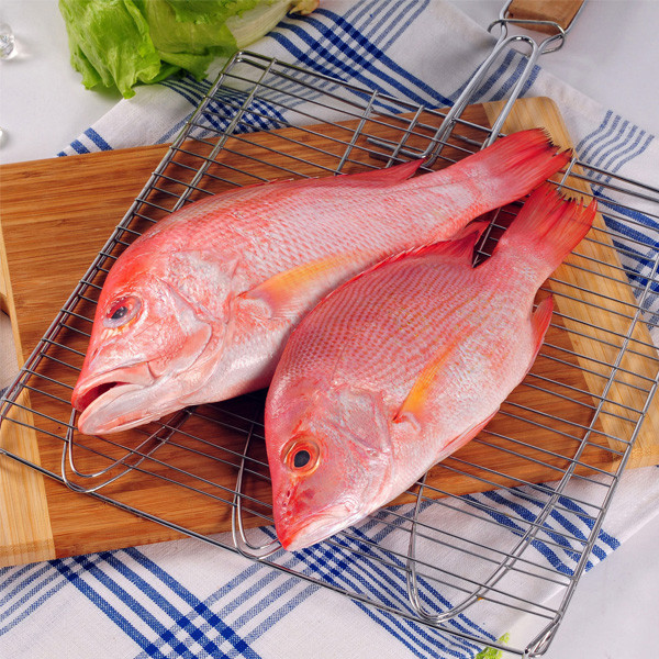 RED SNAPPER FISH 2Hours Delivery (NAGARAI FISH, LOMIYO  )