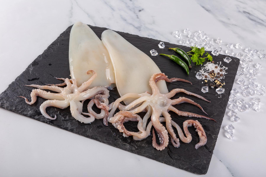 SQUID (AARA FROZEN SEAFOODS ) THOOTHUKUDI