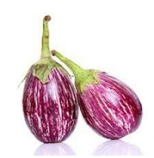 BRINJAL ( 1HRS DELIVERY )COLOUR